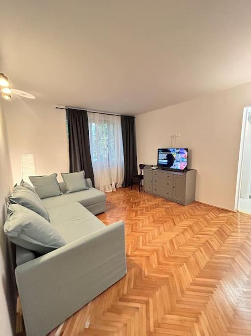 Location #12lunipebega Timisoara