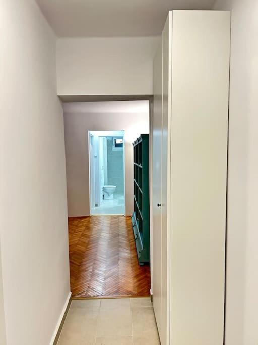Apartment Location #12lunipebega Timisoara