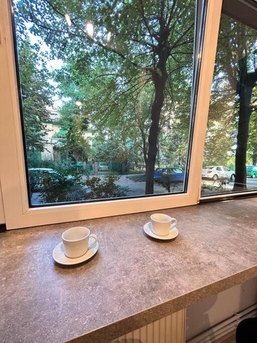 Location #12lunipebega Timisoara