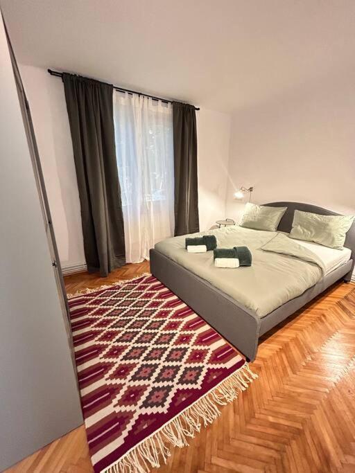 Location #12lunipebega * Timisoara