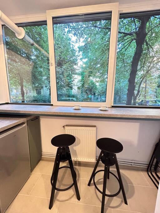Location #12lunipebega * Timişoara